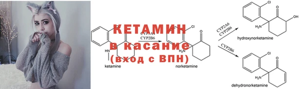 шишки Богородицк